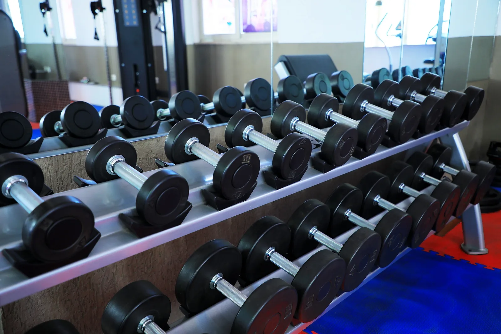 Recreation & Fitness