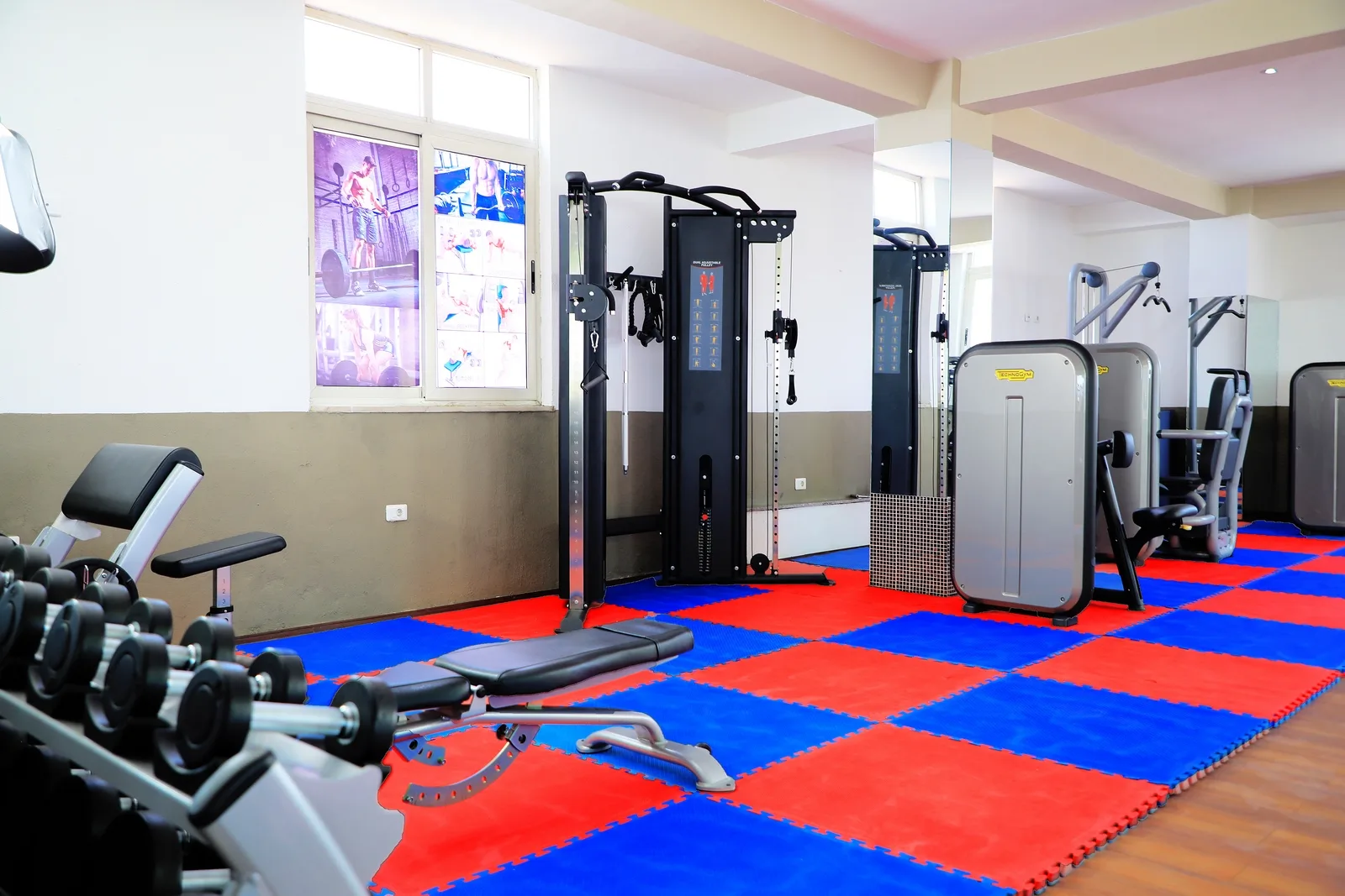 Recreation & Fitness